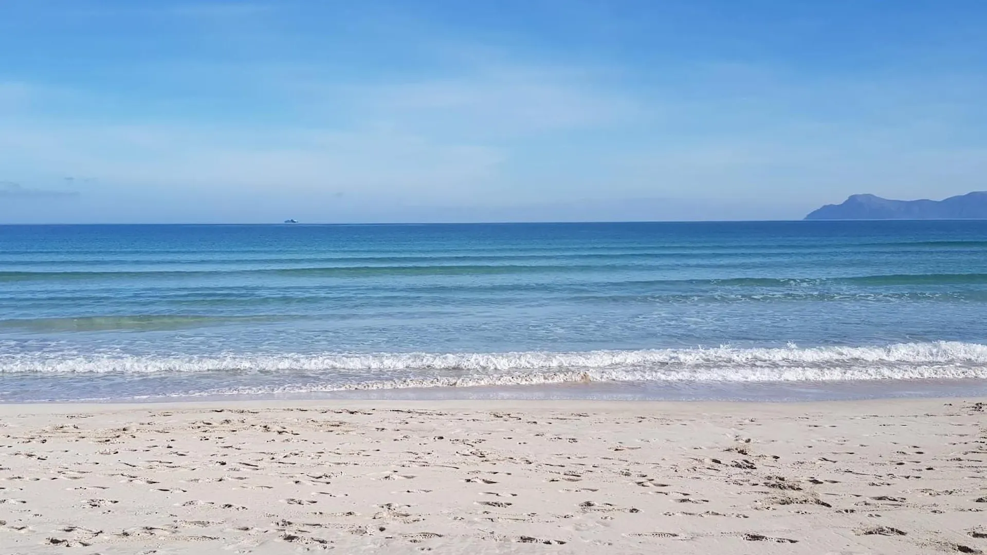 Ideal Property Mallorca - Butterfly location